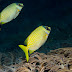 P7014101