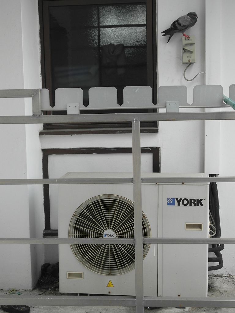 [SAM_3599%255B9%255D.jpg]