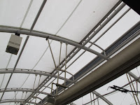 IMG_0769.JPG Photo