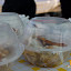 kaposzta fesztival g12.jpg