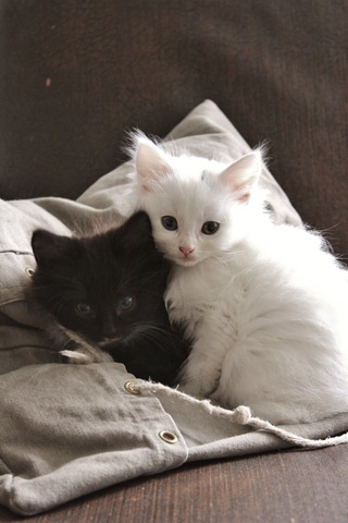 [IMG_4494%255B3%255D.jpg]