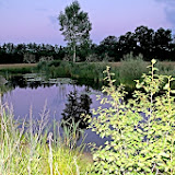 IMG_1602.JPG