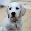 DSC00037.JPG