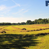natuur 014.jpg