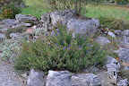 Jardin Botaniques