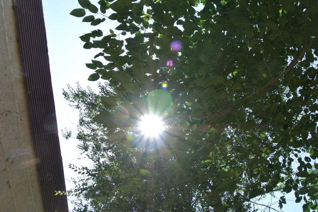 [DSC_6266%255B4%255D.jpg]