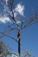IMG_7304.JPG