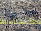 South Luanga Nationalpark