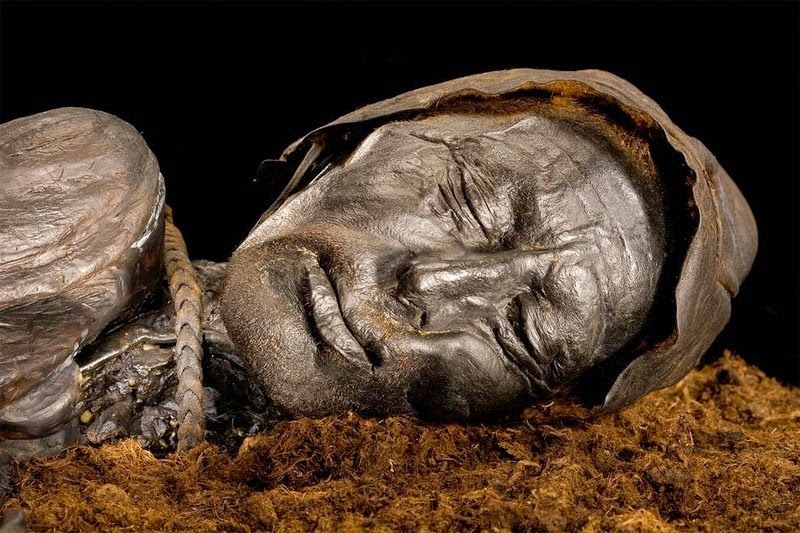 Image result for Tollund Man