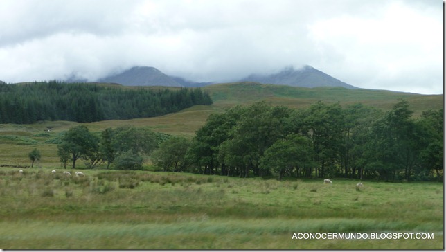 Glen Coe-P1050609