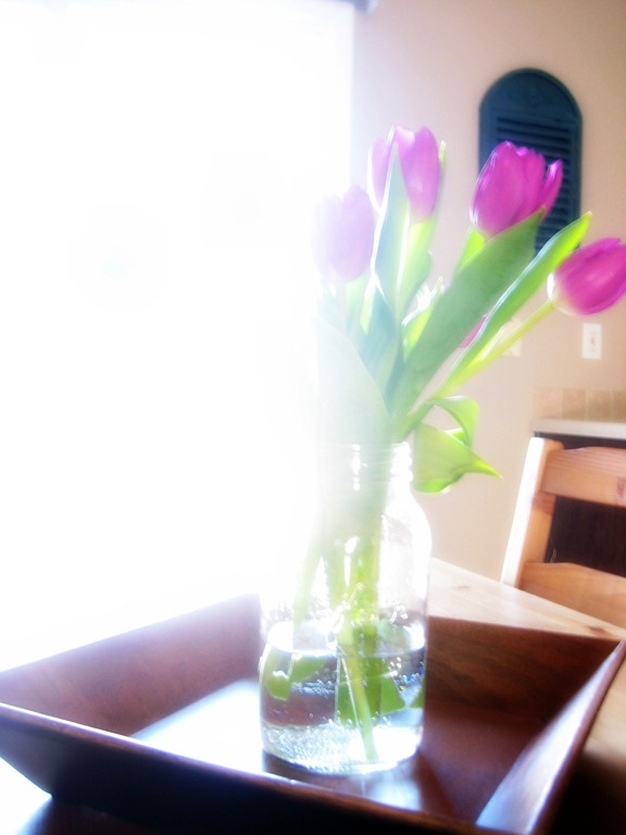 [tulips%255B6%255D.jpg]