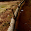 P1100515.JPG