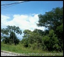 bombinhas 102 bombinhas 102