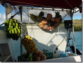 P1020545