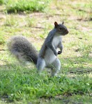 DSC_0943.JPG