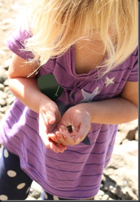 Elsie with crab at Seal Rock
