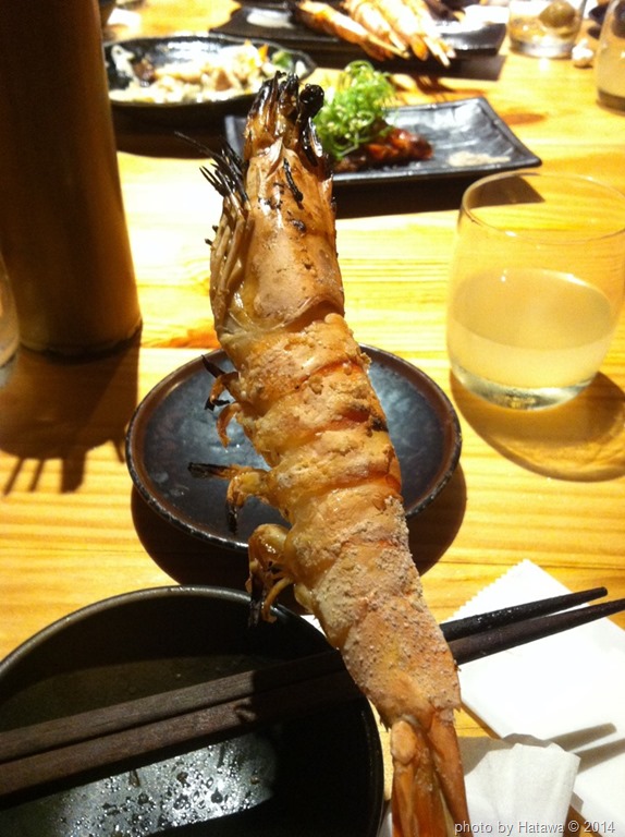 [IMG_620513.jpg]