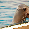 hokkaido_345.jpg