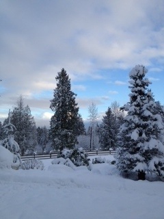 [snow%2520break%255B7%255D.jpg]