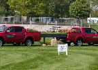 Signage to protect the course, so that it is in prime condition for the riders & horses