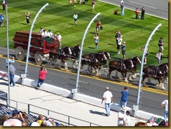 IMG_0398 IMG_0398