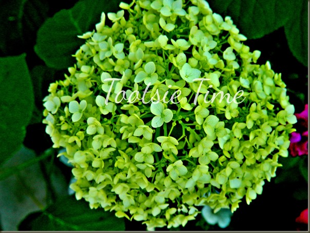 BeFunky_045.jpg BeFunky_045.jpg