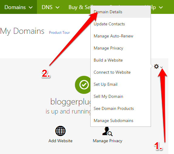 godaddy-domain-details