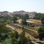 DSCF0938.JPG