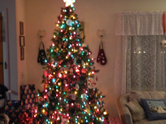 [Christmas%2520decorations45Jill%2527s%2520decorating%2520015%255B3%255D.jpg]