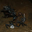 DSC04137.JPG