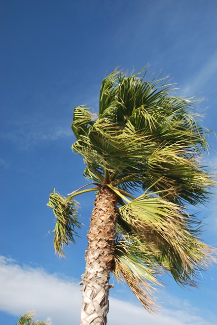 [Six-Fours-les-Plages%2520Strong%2520wind%255B6%255D.jpg]
