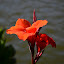 DSC_0475.JPG