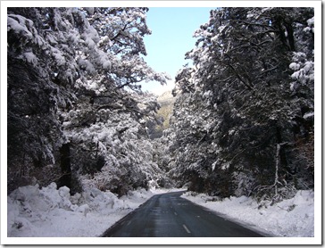 Recien nevado Recien nevado