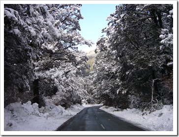 Recien nevado