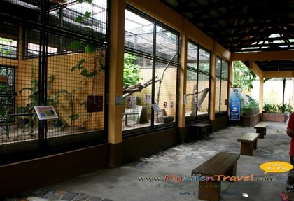 Langkawi Wildlife Park Langkawi Wildlife Park