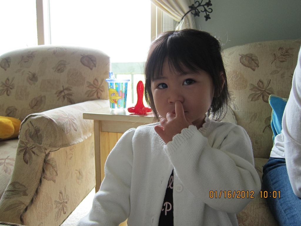 [wk104_pick_a_nose%255B3%255D.jpg]