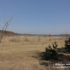dsc07489.jpg