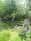 Isn't this neat? You can still see some of the tracks amidst the landscaping.
