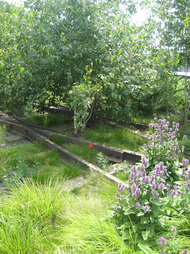 Isn't this neat? You can still see some of the tracks amidst the landscaping.