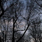 DSC_4874.JPG