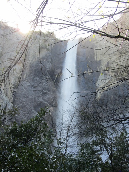 [IMG_45054.jpg]