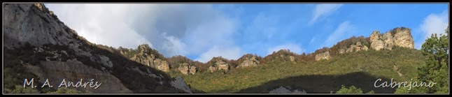 pano4 pano4
