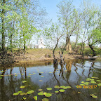 IMG_7209.JPG