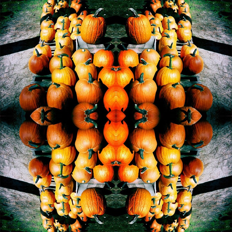[pumpkinmontage%255B4%255D.jpg]