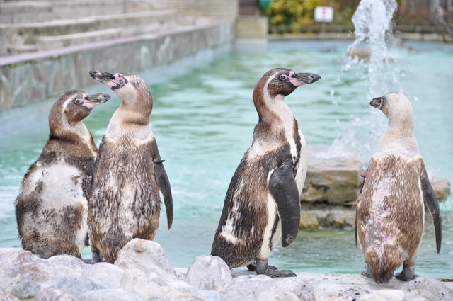 [DSC_0056%255B4%255D.jpg]