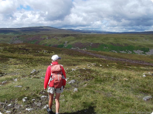 not sheila king and the cross fell range