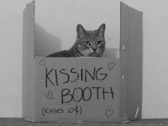 [viral-picdump-pics-7e7f72%255B2%255D.jpg]