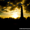 Gary Carr - Phoenix Park.jpg