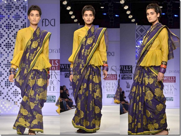 Payal_pratap_Saree (4) Payal_pratap_Saree (4)