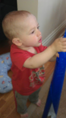 Olly
